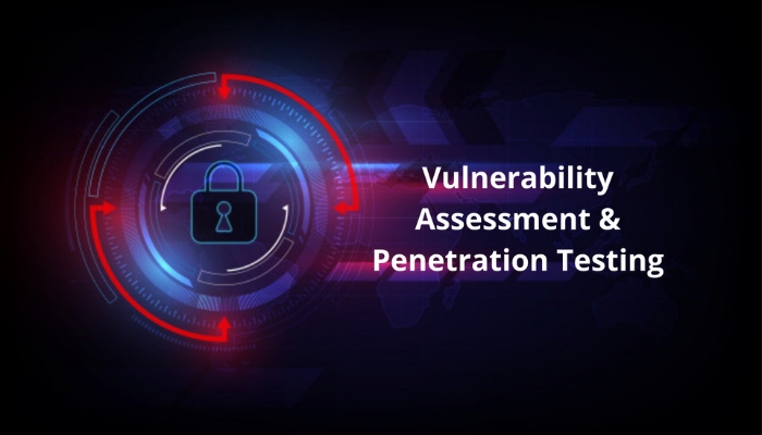 VAPT & Offensive Security Auditing